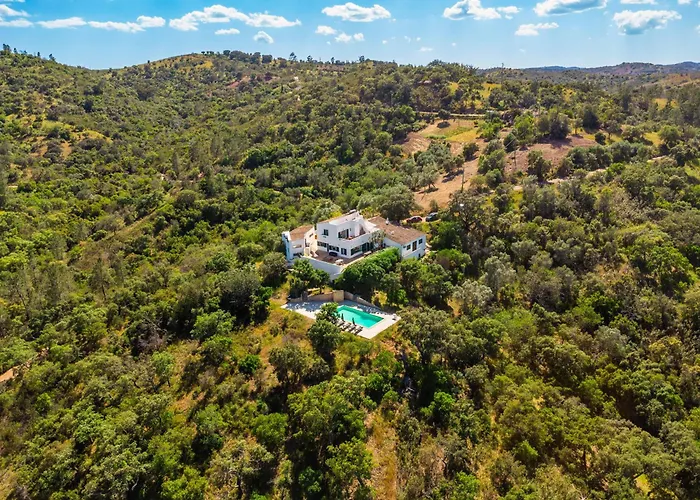 Eiras Altas Grande By Portucasa Corte Vidreiro